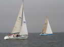 IMG_1844001.jpg