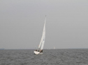 IMG_1845001.jpg