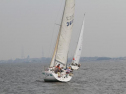 IMG_1849001.jpg