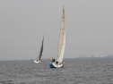 IMG_1851001.jpg