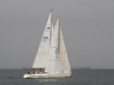 IMG_1852001.jpg