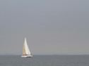 IMG_1854001.jpg