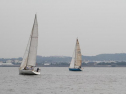 IMG_1862001.jpg