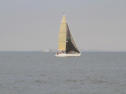 IMG_1865001.jpg