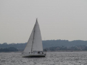 IMG_1889001.jpg