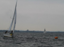 IMG_1914001.jpg