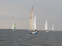 IMG_1929001.jpg