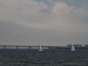 IMG_1951001.jpg