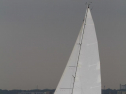 IMG_1958001.jpg