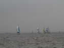 IMG_1967001.jpg