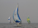 IMG_1974001.jpg