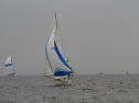 IMG_1975001.jpg