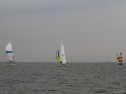 IMG_1979001.jpg