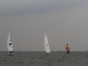 IMG_1980001.jpg