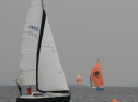 IMG_1984001.jpg