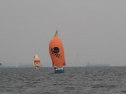 IMG_1986001.jpg