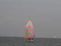 IMG_2009001.jpg