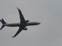 IMG_2011001.jpg