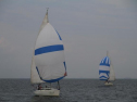IMG_2024001.jpg