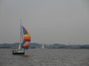 IMG_2026001.jpg