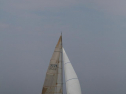 IMG_2031001.jpg