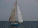 IMG_2032001.jpg