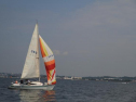 IMG_2036001.jpg