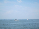 AIMG_3943.jpg