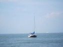 AIMG_3945.jpg