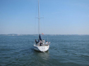 AIMG_3946.jpg