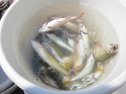 AIMG_3950.jpg
