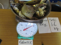 AIMG_3956.jpg