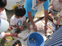 AIMG_3968.jpg