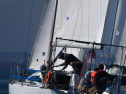 A0042_xlarge.jpg