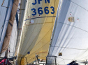 A0063_xlarge.jpg