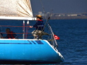 A0064_xlarge.jpg