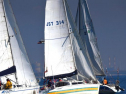 A0069_xlarge.jpg