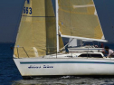 A0076_xlarge.jpg