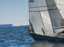 A0101_xlarge.jpg