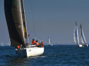 A0108_xlarge.jpg