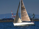 A0114_xlarge.jpg