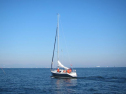 AIMG_4048.jpg