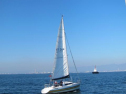 AIMG_4054.jpg
