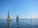 AIMG_4061.jpg