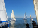 AIMG_4063.jpg