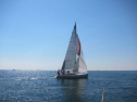 AIMG_4068.jpg