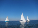 AIMG_4082.jpg