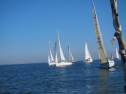 AIMG_4084.jpg