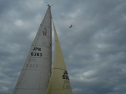 ADSCN5801.jpg