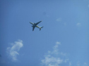 ADSCN5824.jpg
